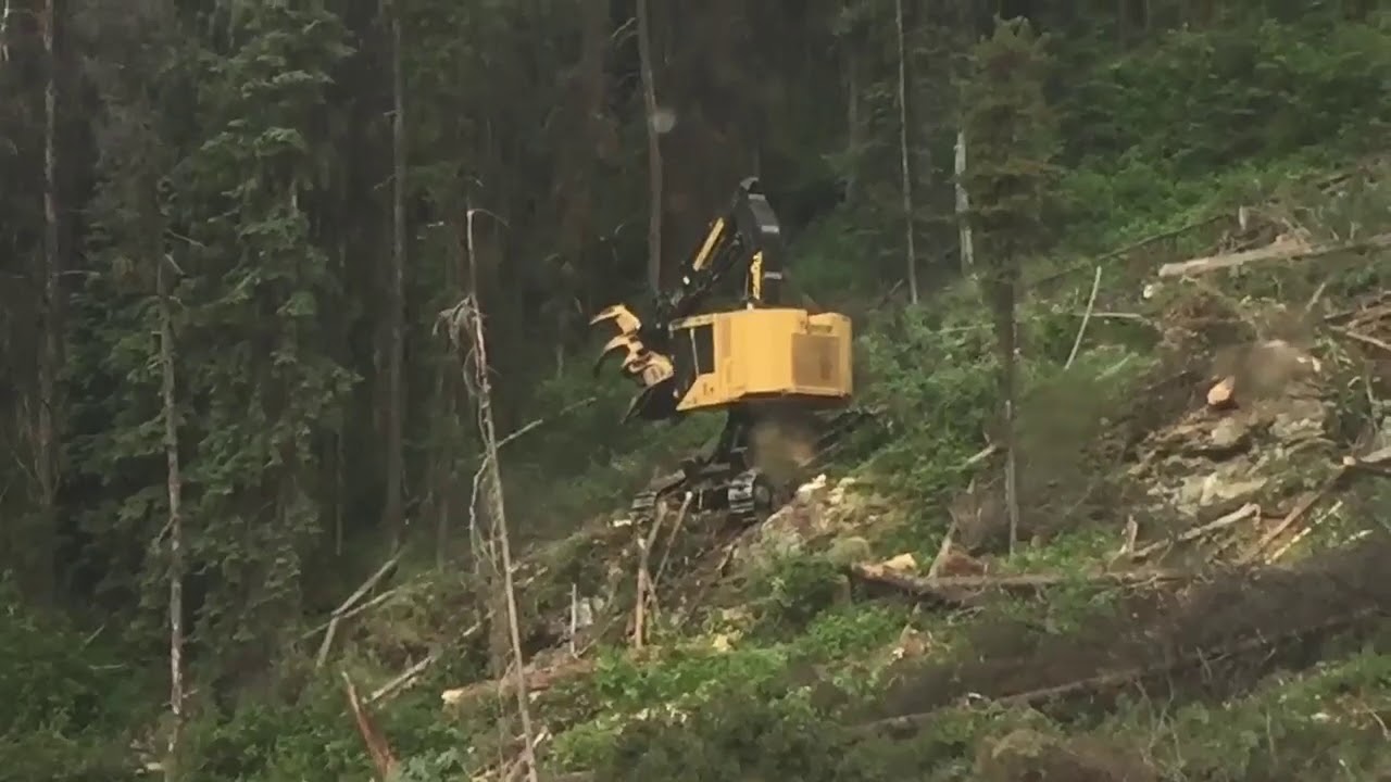 Tigercat 830D LX Extreme Slopes