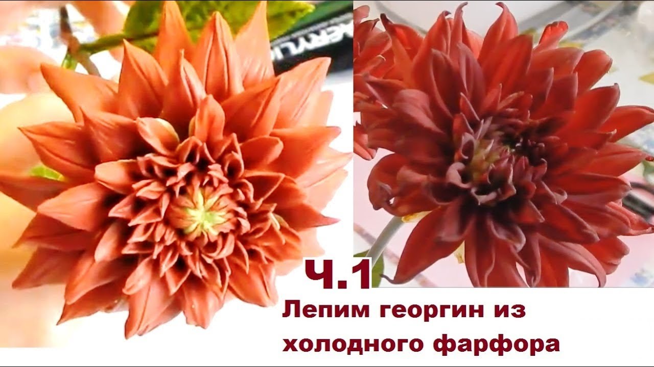 Георгин из холодного фарфора, мастер класс, часть 1