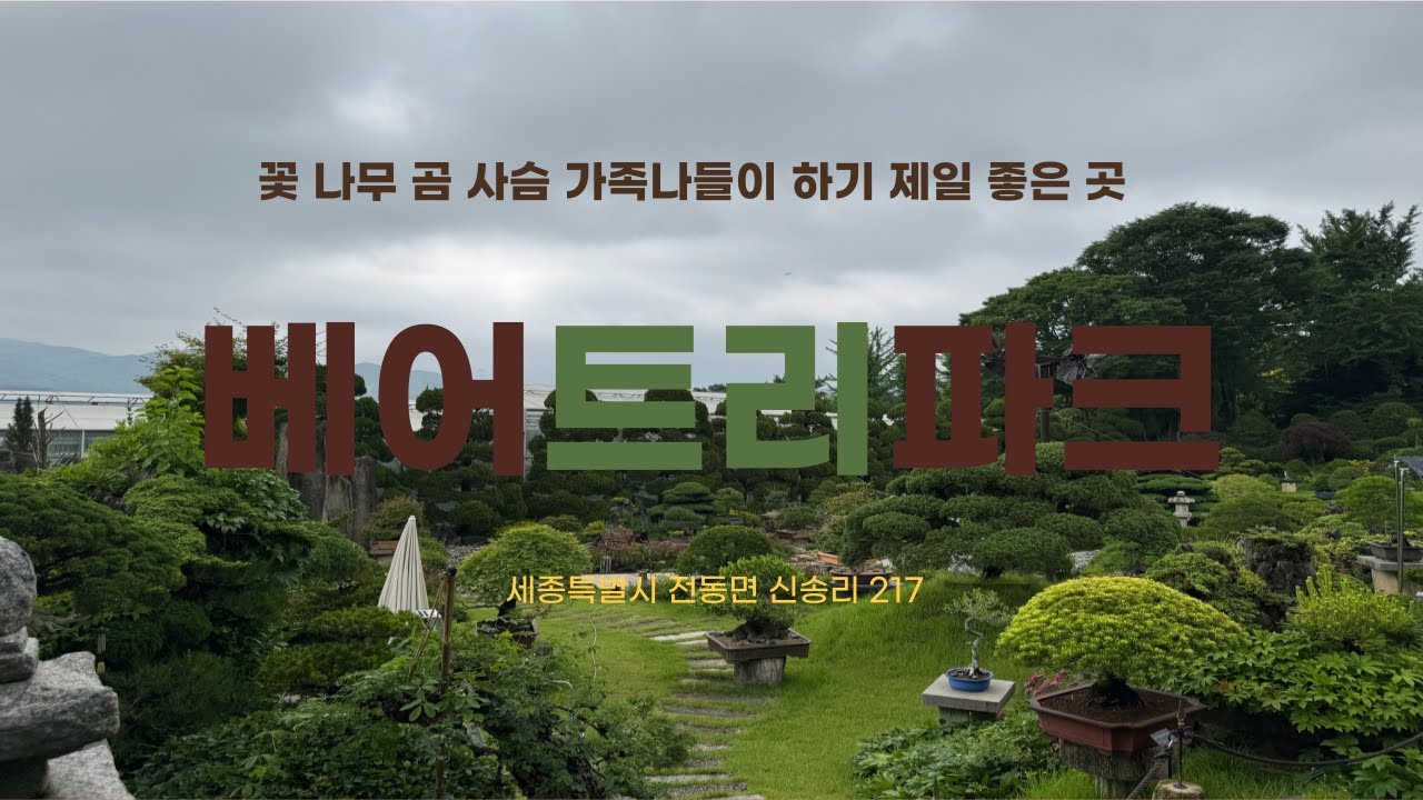 자연을 좋아하는 사람은 한번은 꼭 가야 하는 수목원 베어트리파크/ 50년의 정성으로 만들어진 아름다운 수목원 #가족나들이 최적지 #수목원 #명품분재 #동물원 #가족여행 #곰