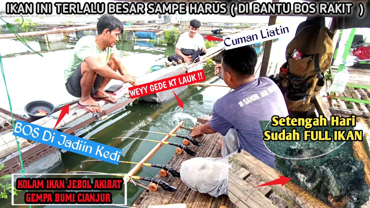 PESTA STREK KETIKA ADA KOLAM YANG JEBOLL - Ngariung Ngala Lauk