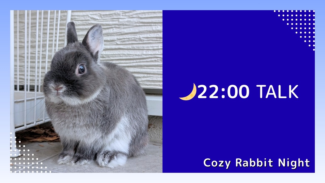 ウルフと過ごす夜 🐰 癒しのうさぎライブ｜Cozy Bunny Night Live