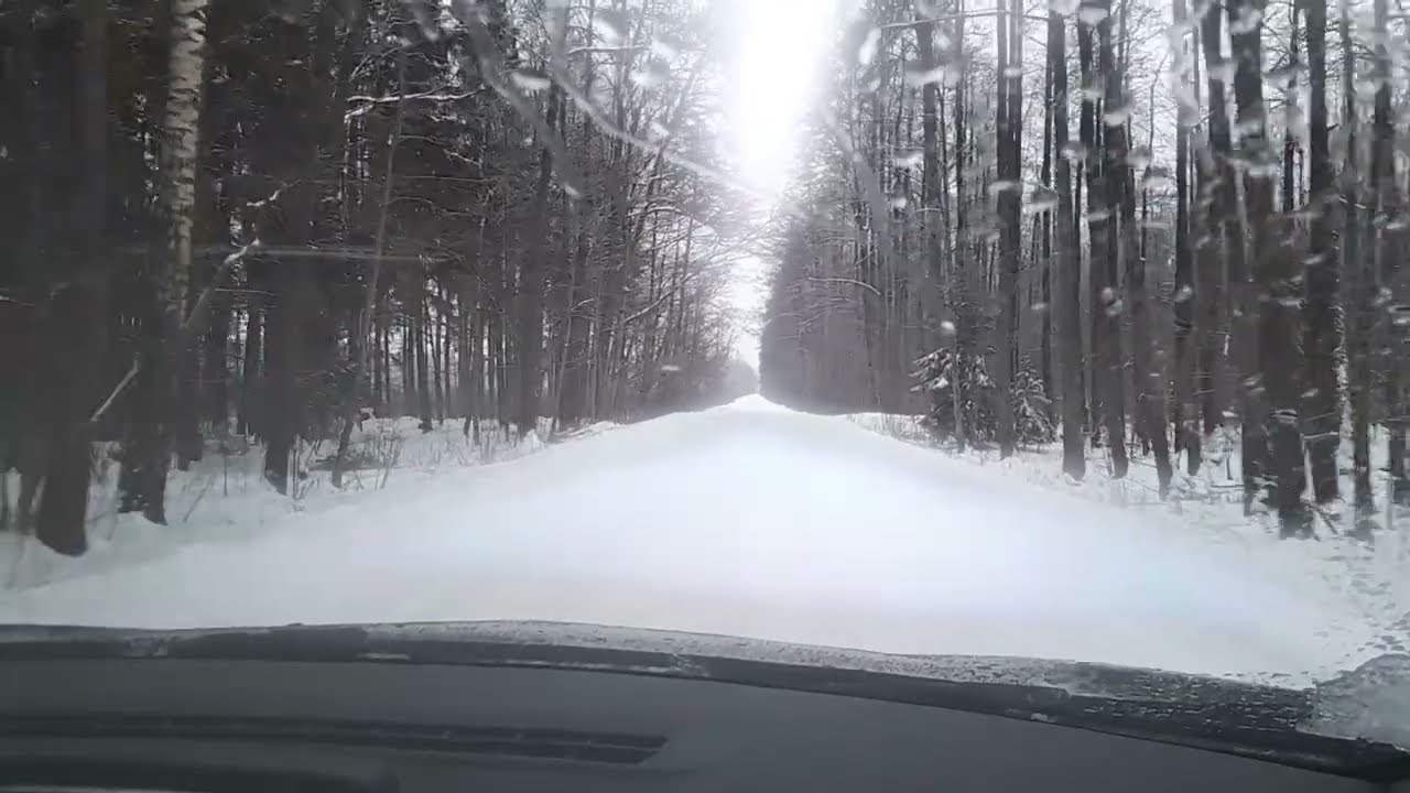 The Forest Didn’t Give Me Anything