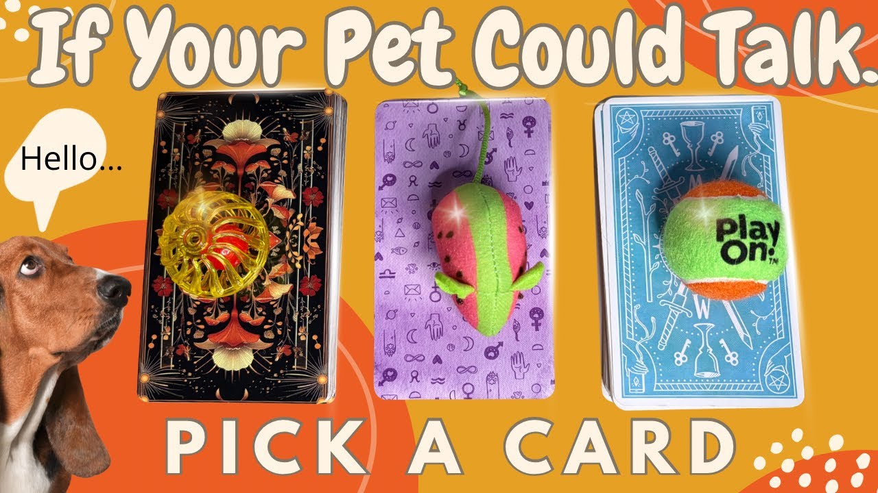 🐾 If Your Pet Could Talk… What Would They Say? 🐾 Pick a Card Timeless Reading 