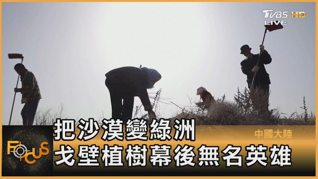 把沙漠變綠洲 戈壁植樹幕後無名英雄 ｜彭志宇｜FOCUS全球新聞 20210608