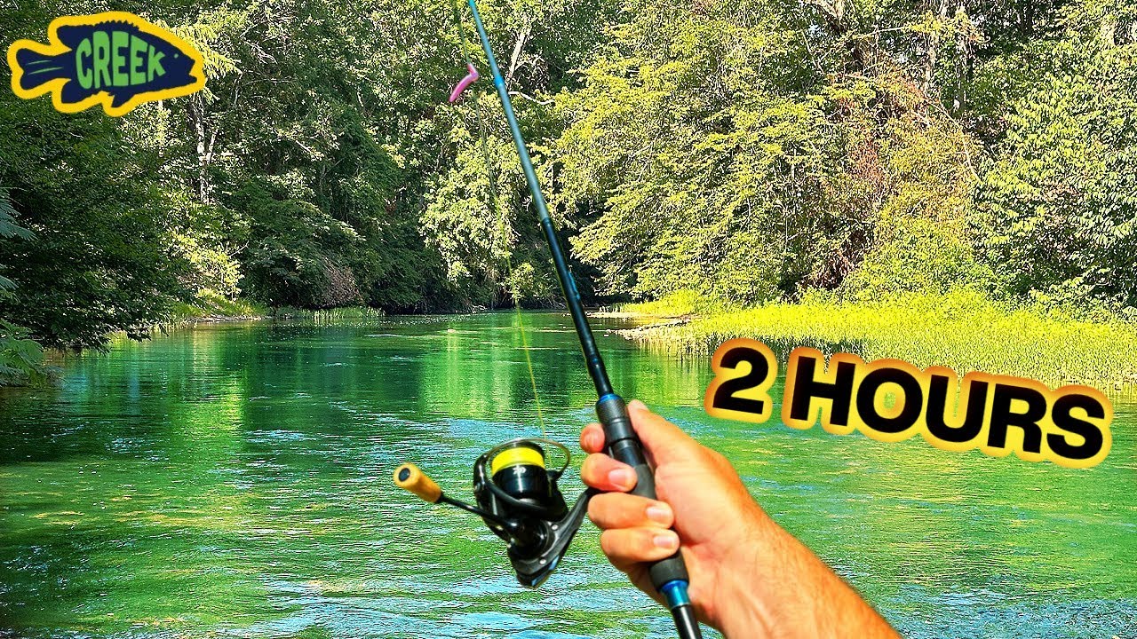 Hot Summer Creek Wading Fishing 2 Hours