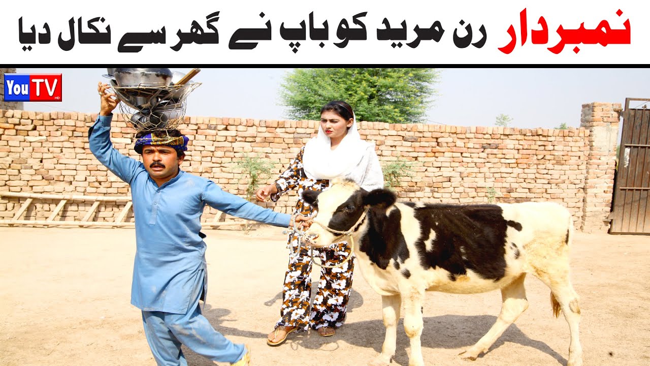 Number daar Run Mureed Ko Baab Ne Ghar New Funny Video | Most Comedy Funny Video | You Tv Hd 2025