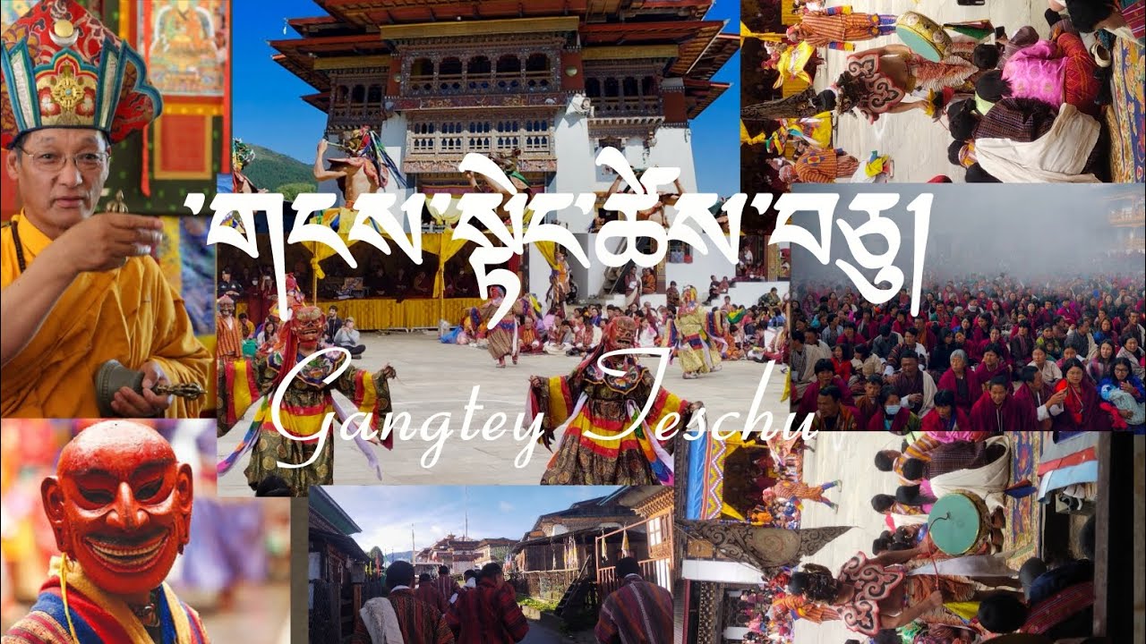 Highlights of mask dances and events during Gangtey Tsechu.#youtube 