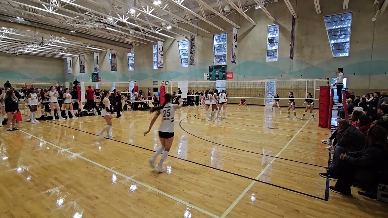 Vs Alamo 