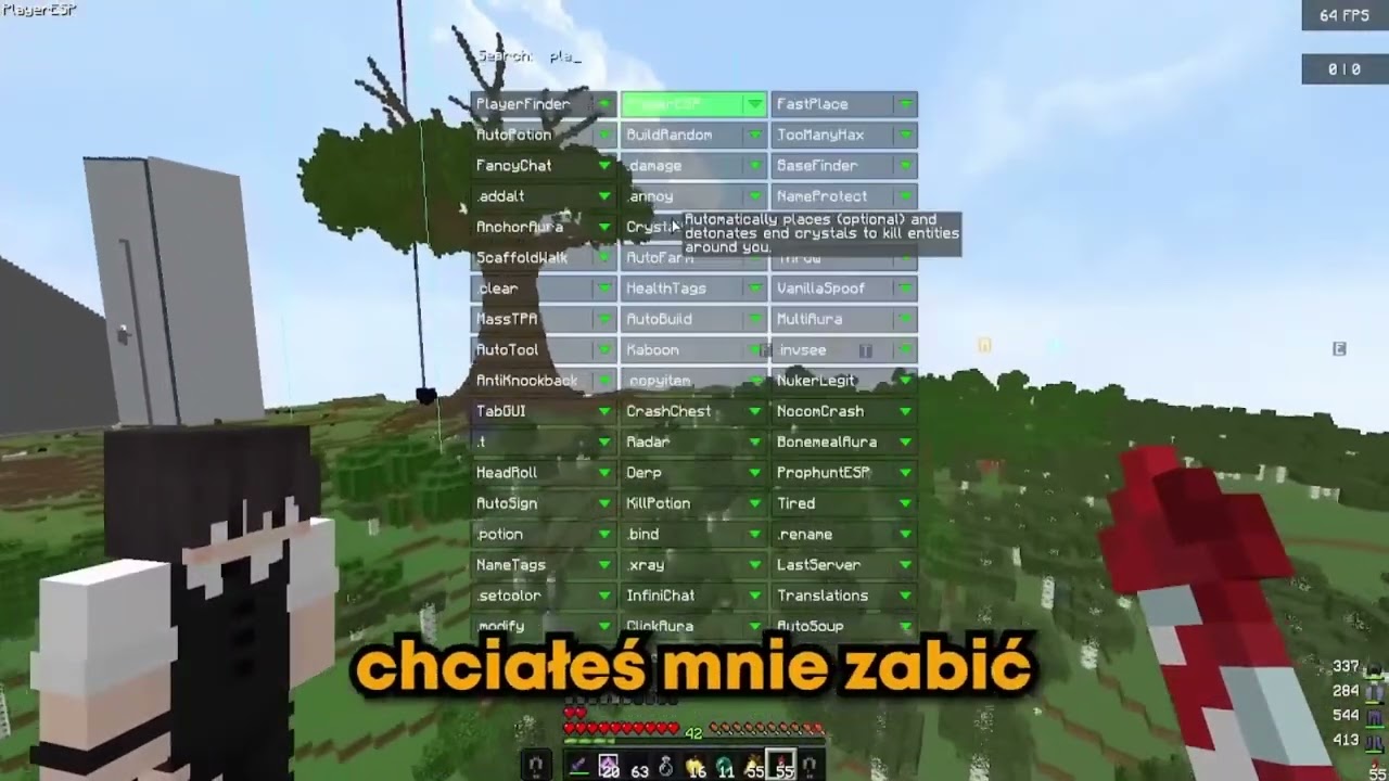 Flameusz używa cheat&oacute;w na Anarchia SMP *WURST* #shorts