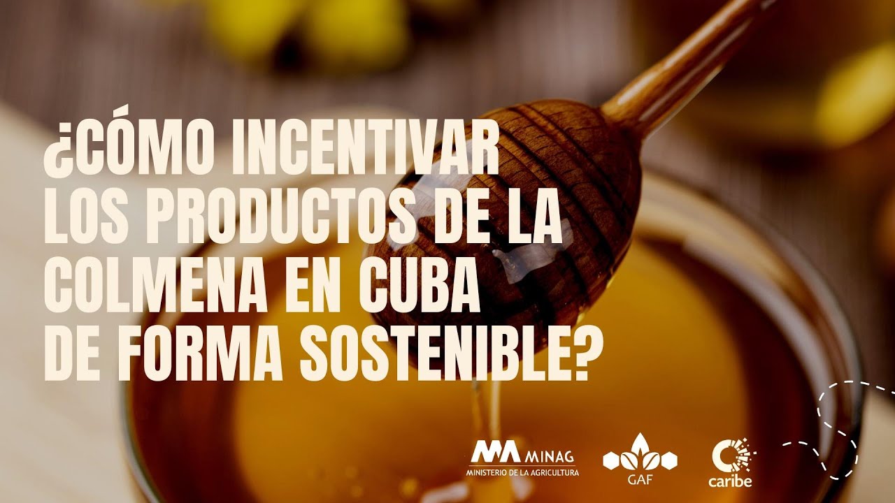 ¿Cuáles son los desafíos en Cuba para diversificar los productos de la colmena?