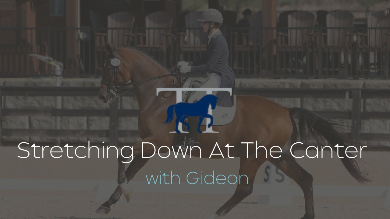 Stretching Down At The Canter with Gideon | 12.06.2021