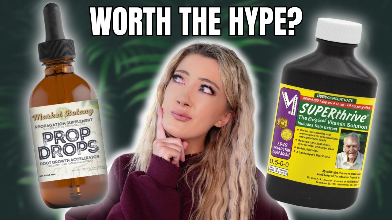 Fastest Method to Propagate Houseplants : Prop Drops VS SUPERthrive Review
