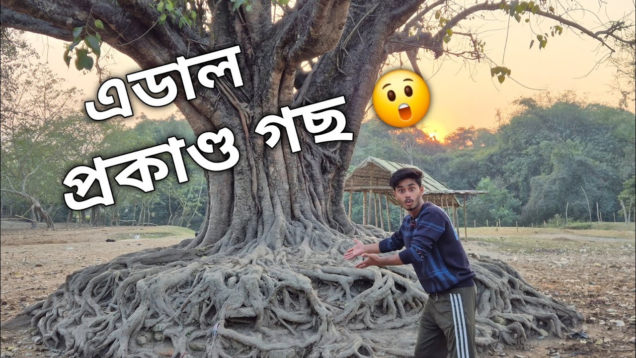 365 Days Challenge Day - 45 / Edal prokando goss dekha palo😱 #vlog #viral 