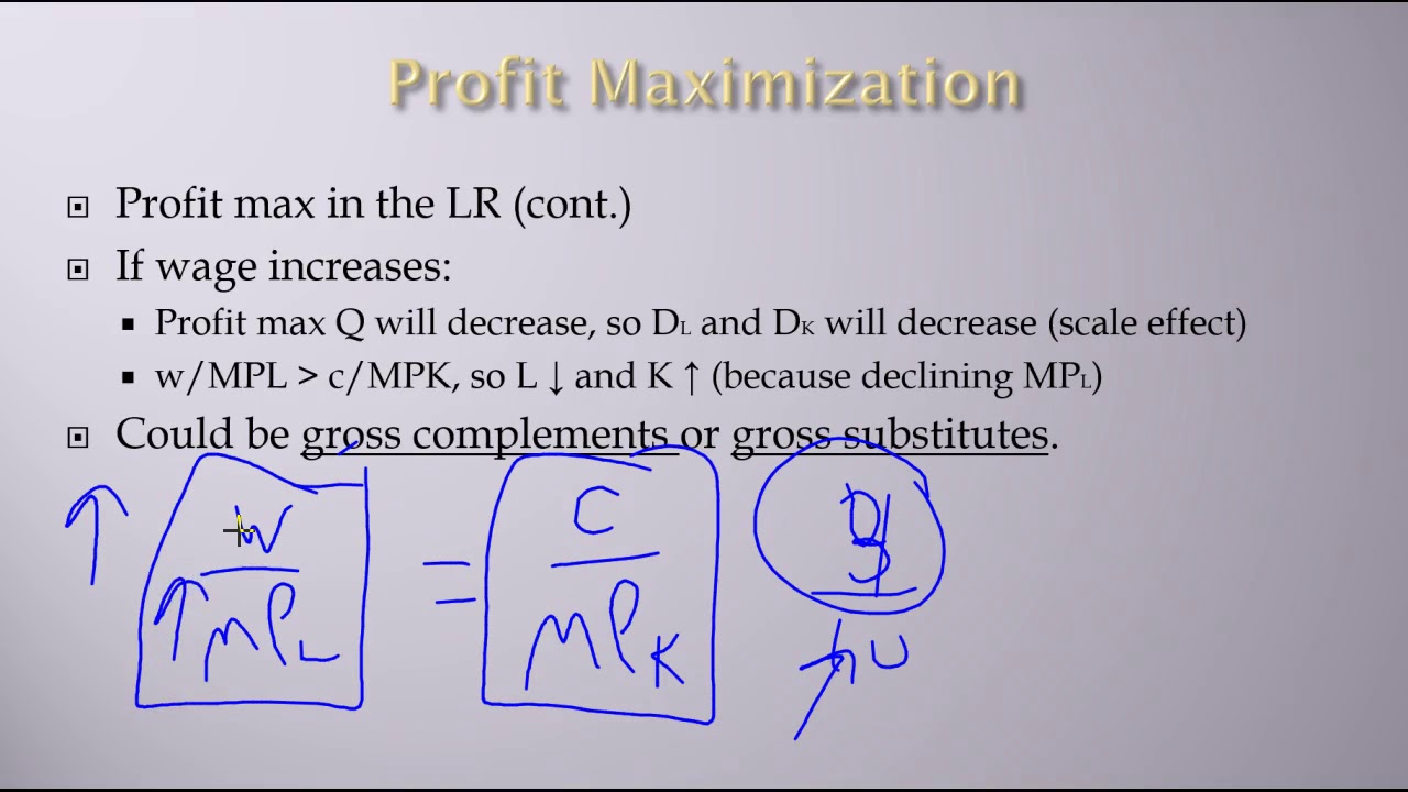 Labor Economics: Labor Demand: Profit Maximization in the LR