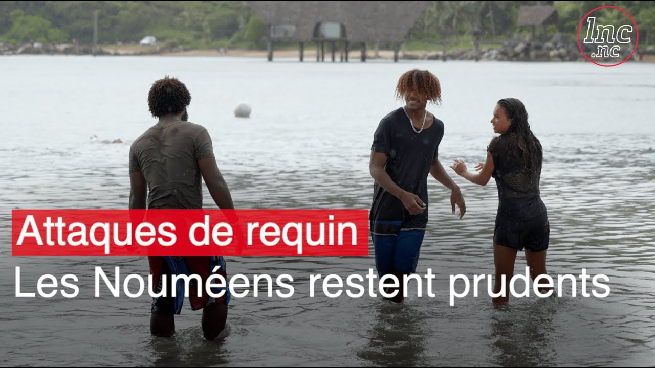Des baigneurs prudents après deux récentes attaques de requin à Nouméa