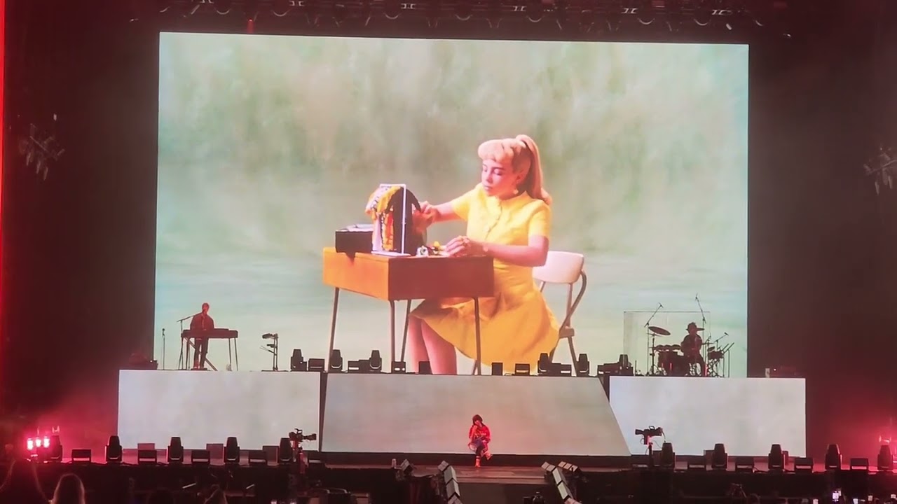 Billie Eilish - What Was I Made For (Live at Leeds Festival)