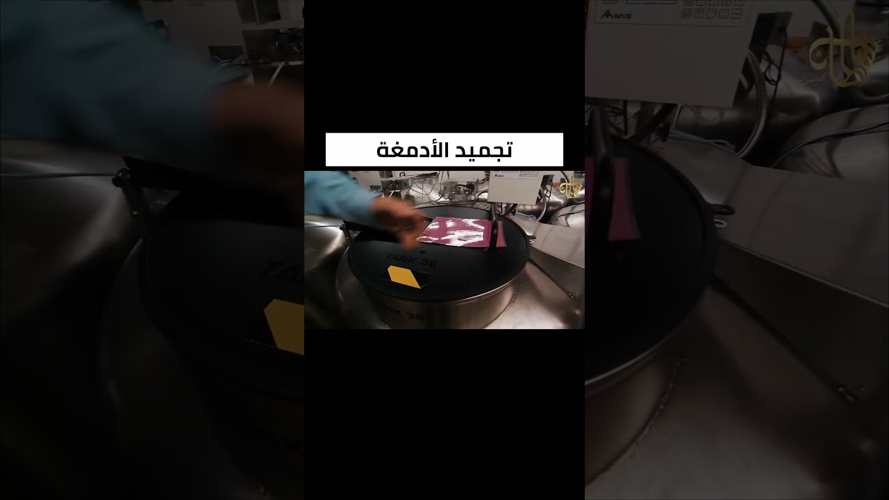 تجميد الأدمغة لإعادة إحياء الموتى | #سلطان_محيسن