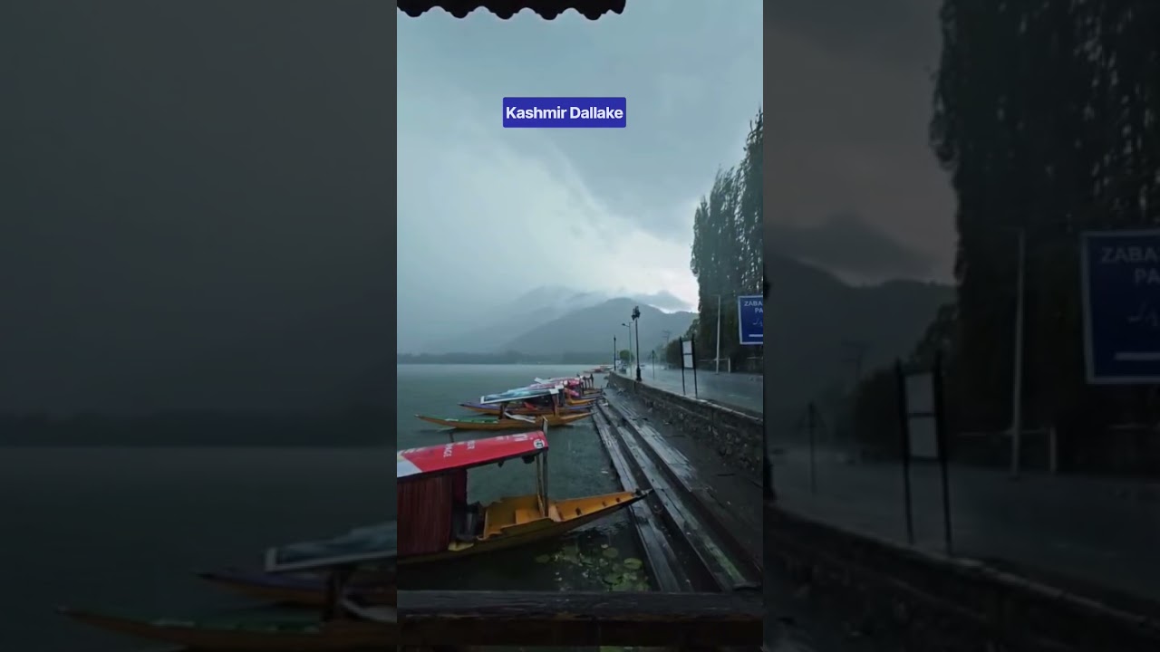 Rain is bliss #dallakesrinagar #kash. #kashmir #pahalgam #travel #gulmarg #jannatkashmir #nature