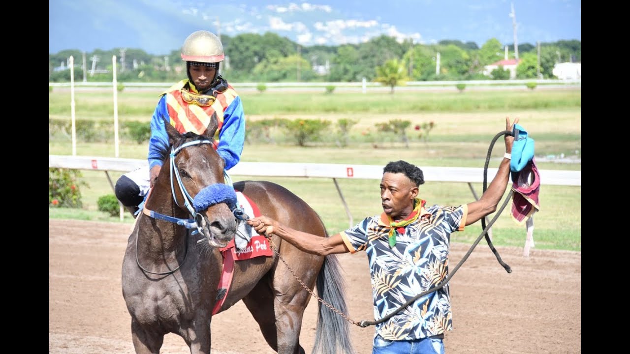 JAMAICA RACING: TIGRAY EXPRESS WINS THE CAYMANAS (SAT, NOV 19, 202) 4th