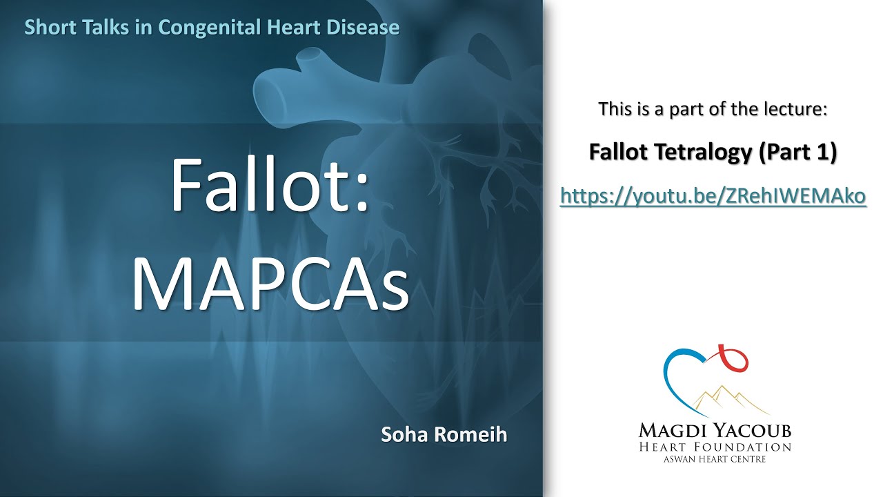 Fallot: MAPCAs - Soha Romeih
