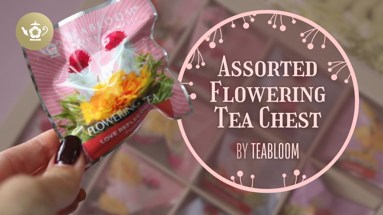 Teabloom Blooming Tea 🍵🌸 Assorted Flowering Tea Chest