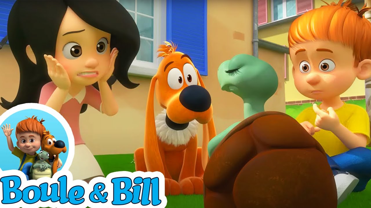 🥺🐢 Caroline a le blues 🥺🐢 - Nouvelle compilation Boule et Bill épisodes complets