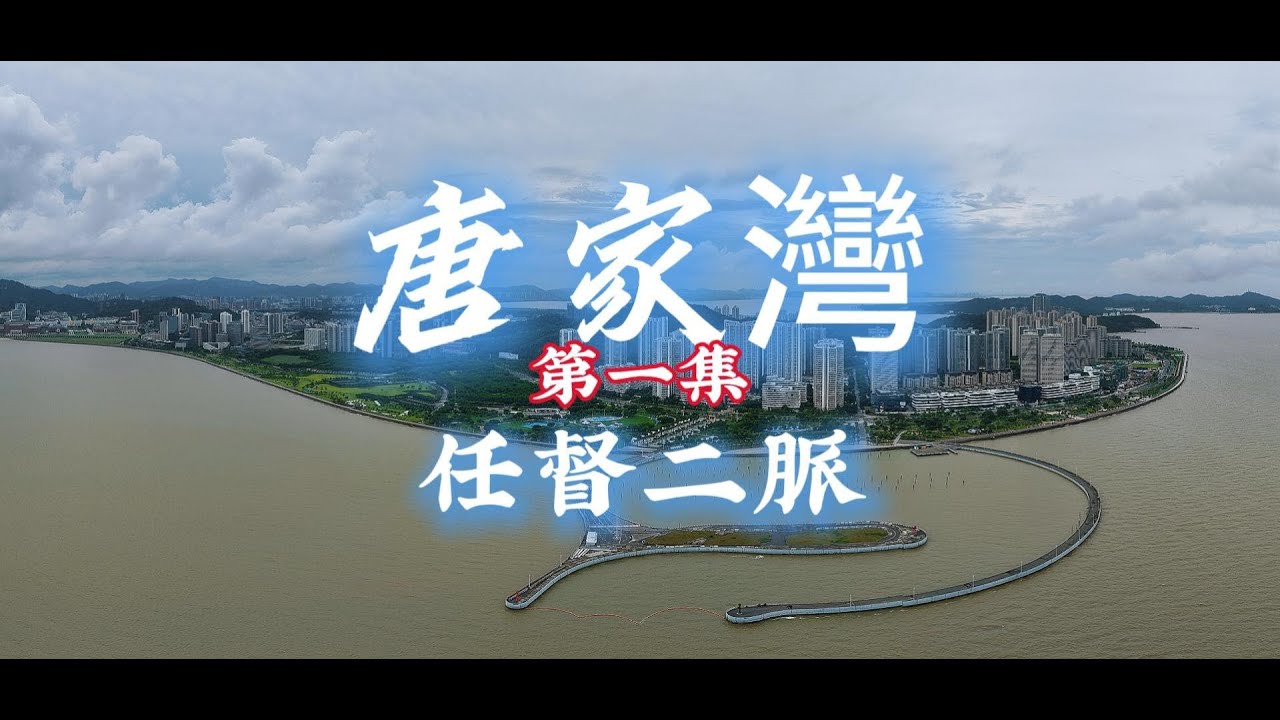 唐家灣 第一集丨任督二脈 #興業快線#金琴快線#香山隧道