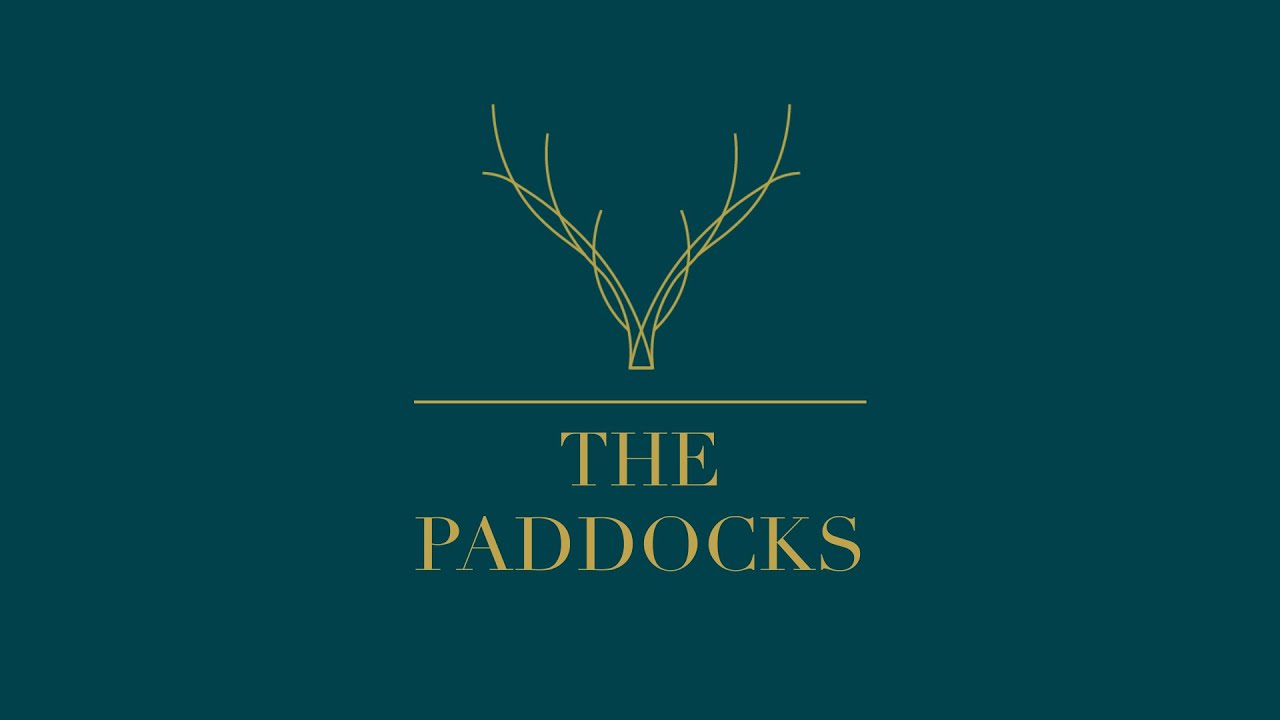 THE PADDOCKS