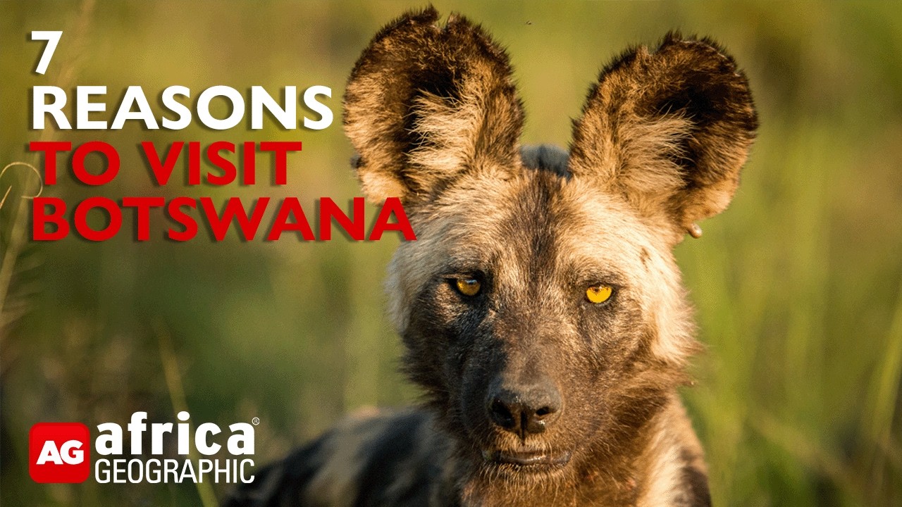 7 Reasons to visit Botswana | Safari Advice | Africa Geographic
