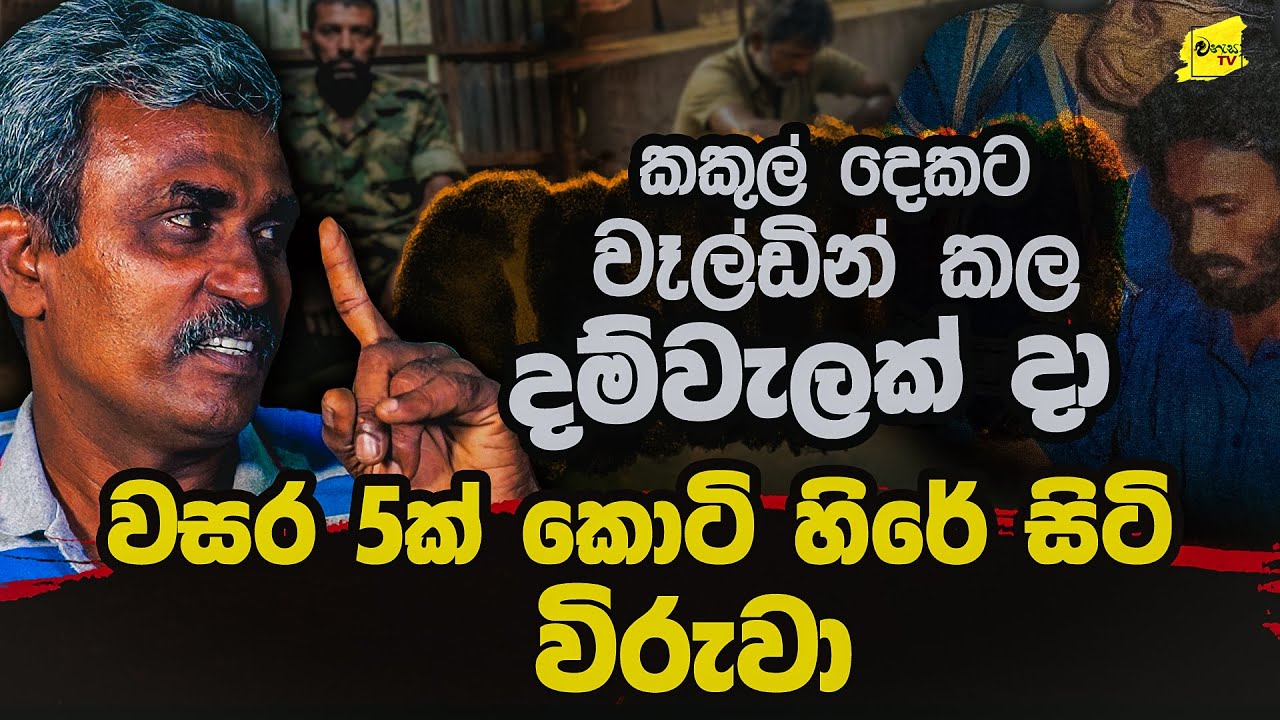 වසර 5ක් වෑල්ඩින් කල දම් වැල් දා කොටි හිරේ සිටි විරුවාගේ බිහිසුණු මතකය @wanesatv