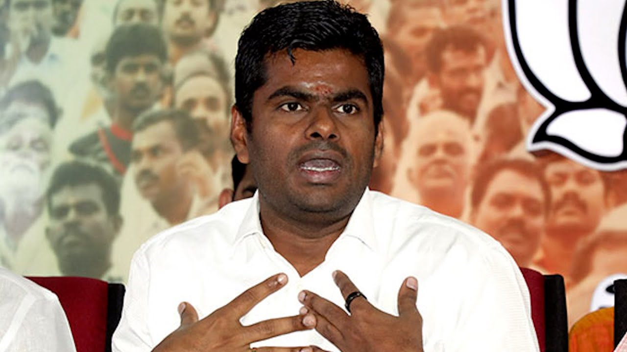 Graft allegations: DMK hits back at BJP's Annamalai with Rs 500 cr legal notice