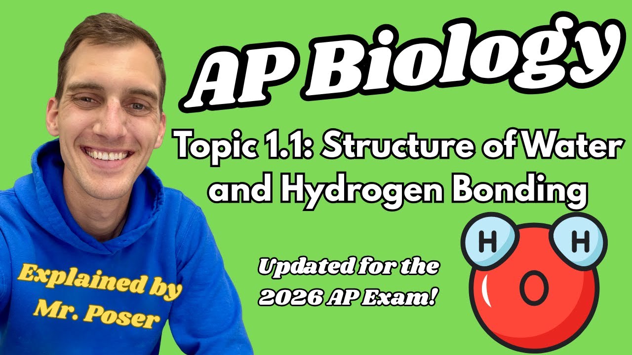 1.1 Structure of Water and Hydrogen Bonding - AP Biology (Updated 2025-2026)