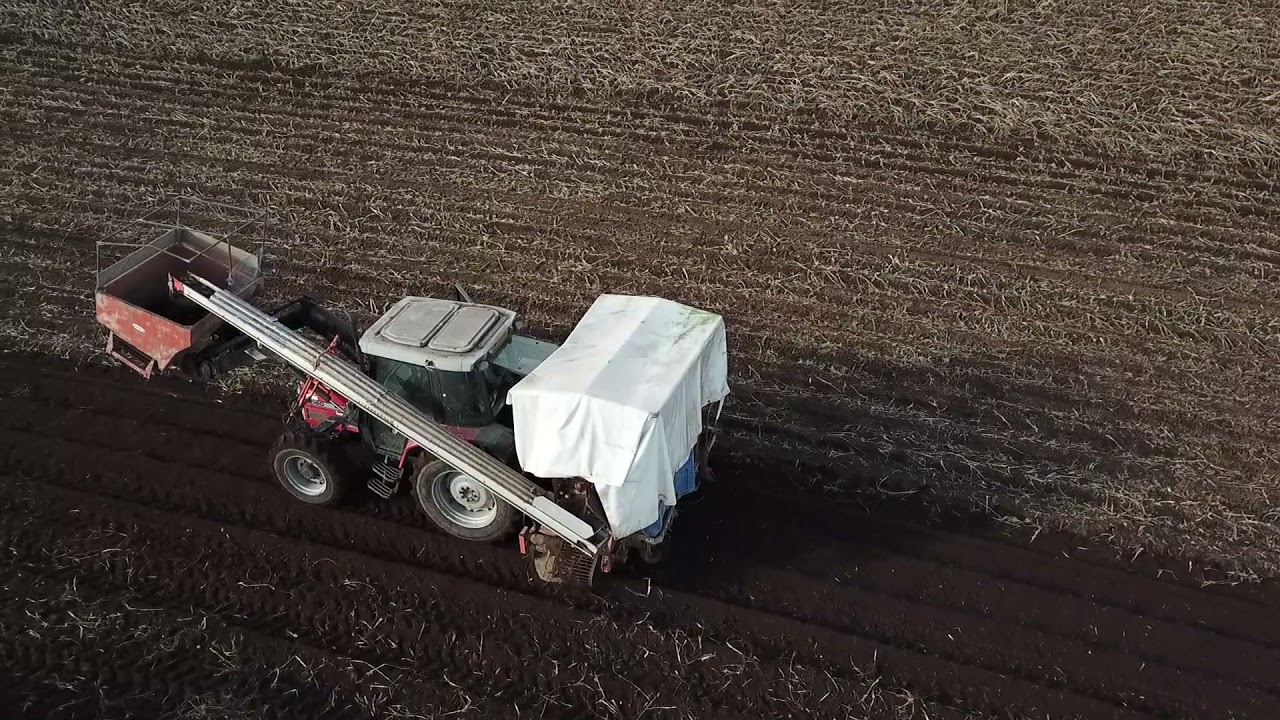 Massey Ferguson 6140 & Underhaug Harvester