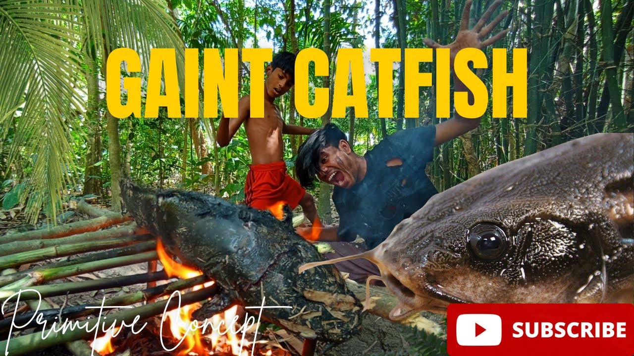 Survival Skills: Catching and Cooking Wild #Catfish in a Jungle to Eating Delicious | PT Concept