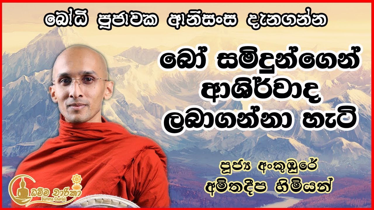 බෝ සමිදුන්ගෙන් ආශිර්වාද ලබාගන්නා ආකාරය  | අංකුඹුරේ අමිතදීප හිමි |  Ven. Ankumbure Amitha Deepa Thero