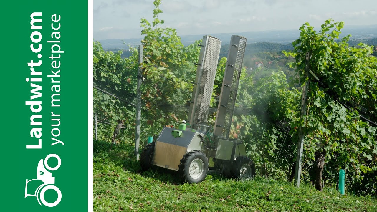 Vom Weinberg in die Flasche | landwirt.com