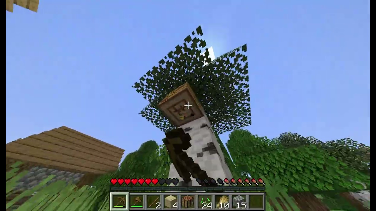serveur minecraft java pour jouer avec moi