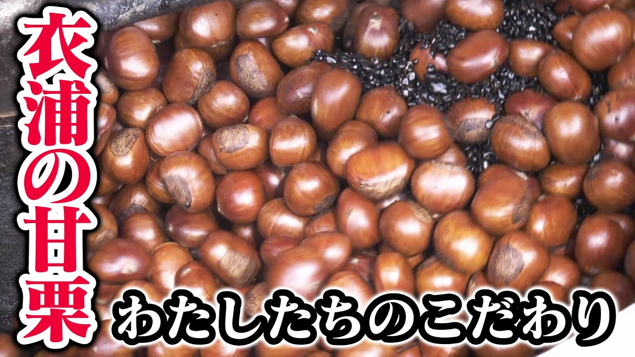 【衣浦の甘栗】天津甘栗へのわたしたちのこだわり【衣浦食品】