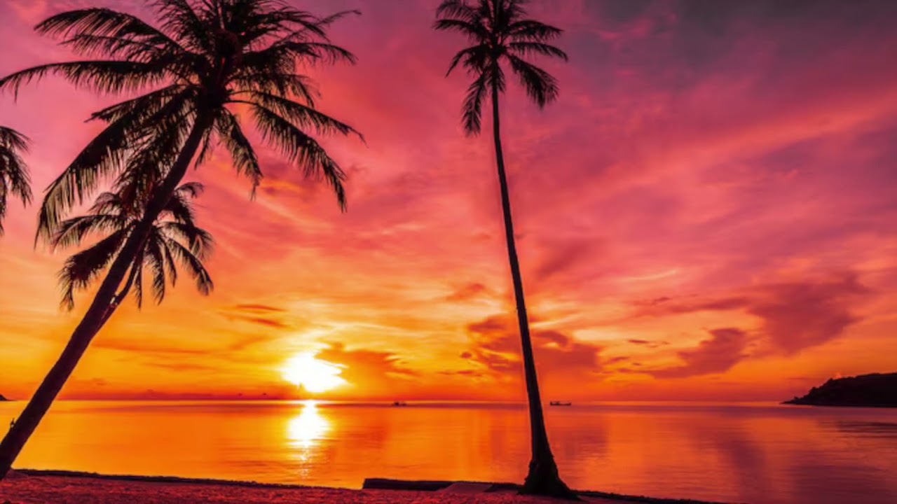 a nice sunset