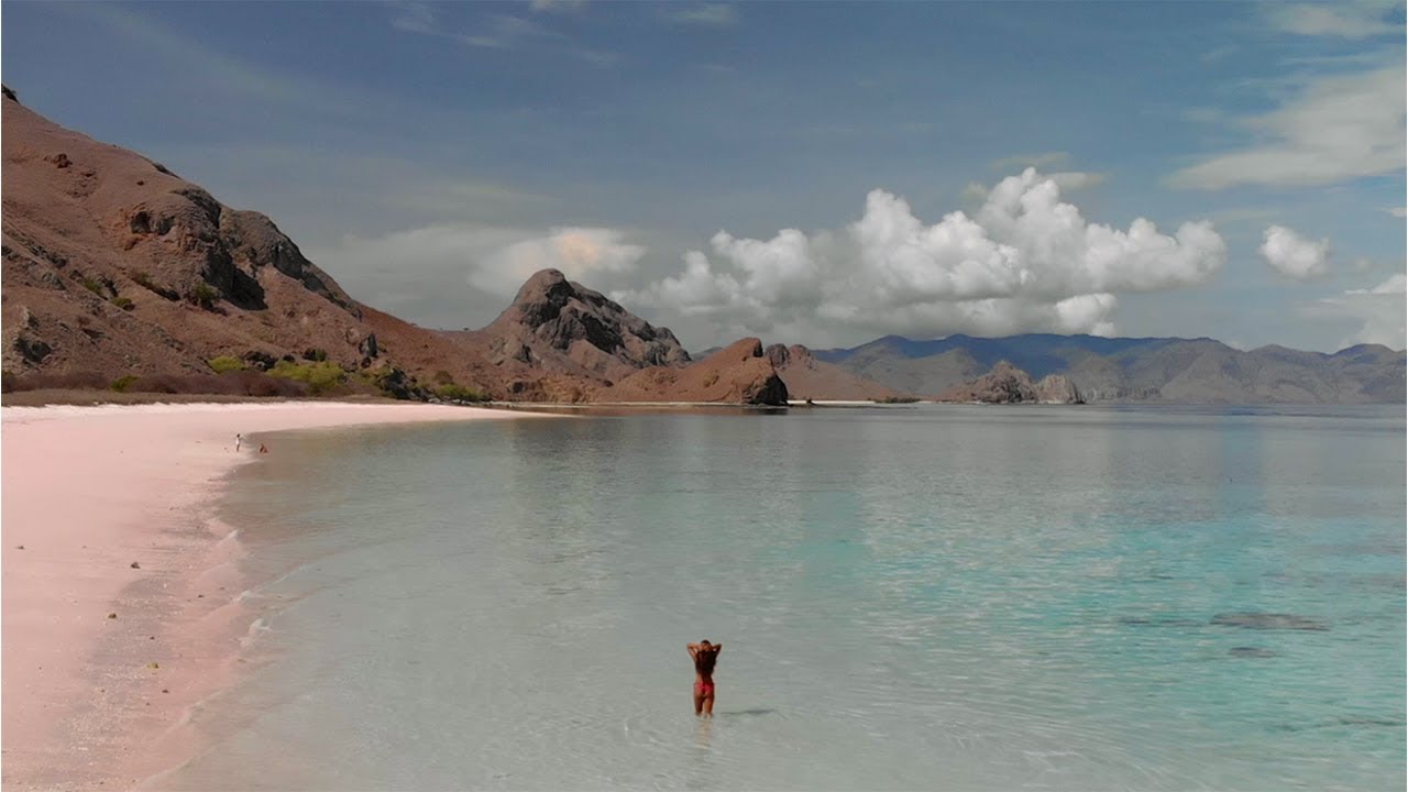 The Komodo Islands - Taylor Kirk Productions