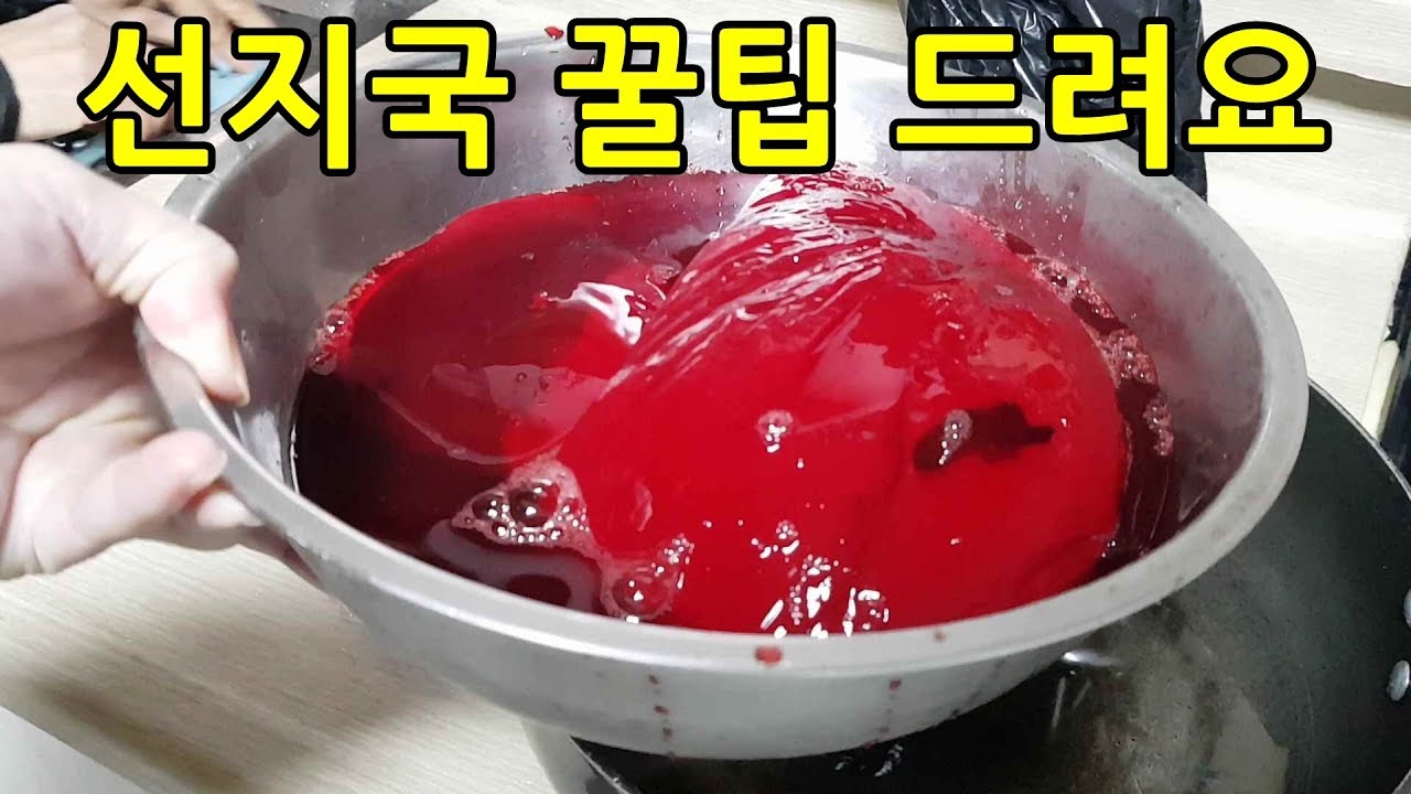 선지국 만들기 맛있게 끓이는 법 꿀팁 선지삶기와 소기름 필수