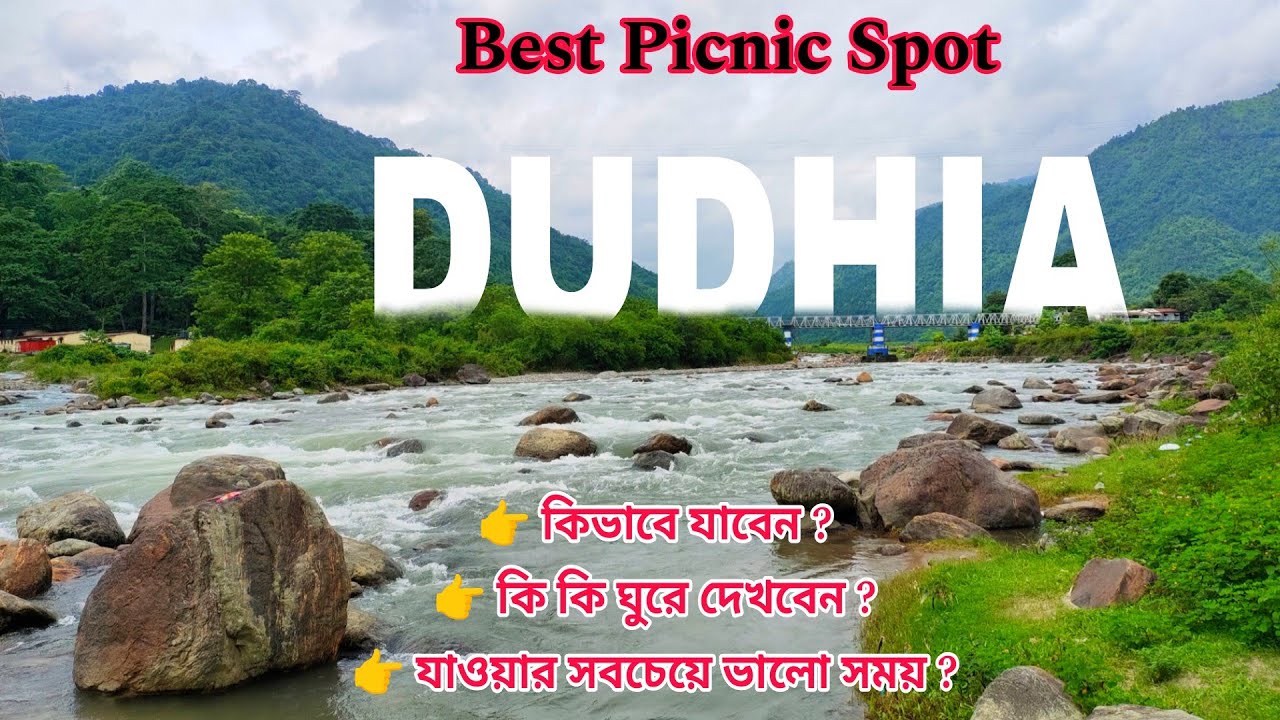 Dudhia Picnic Spot | Siliguri to Dudhia | শিলিগুড়ি পিকনিক স্পট | Dudhia Siliguri -Offbeat Darjeeling