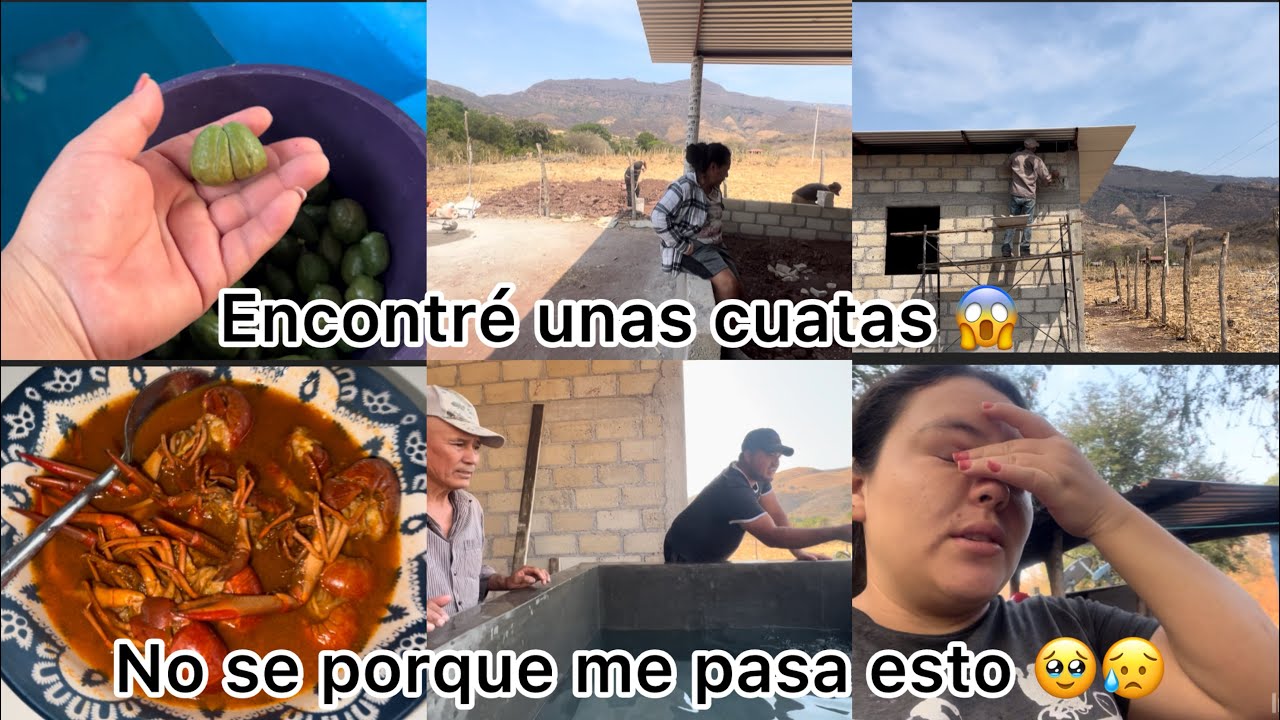 Por q me pasaría esto 😱😥 encontré jemelas 🤭los 3  andan trabajando 🙈 salieron ricos 😋