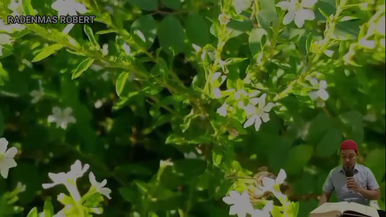 УШБУ СУРАНИ ХАР КУНИ УҚИНГ ЁКИ ЭШИТИНГ Кучли дуо, суралар
