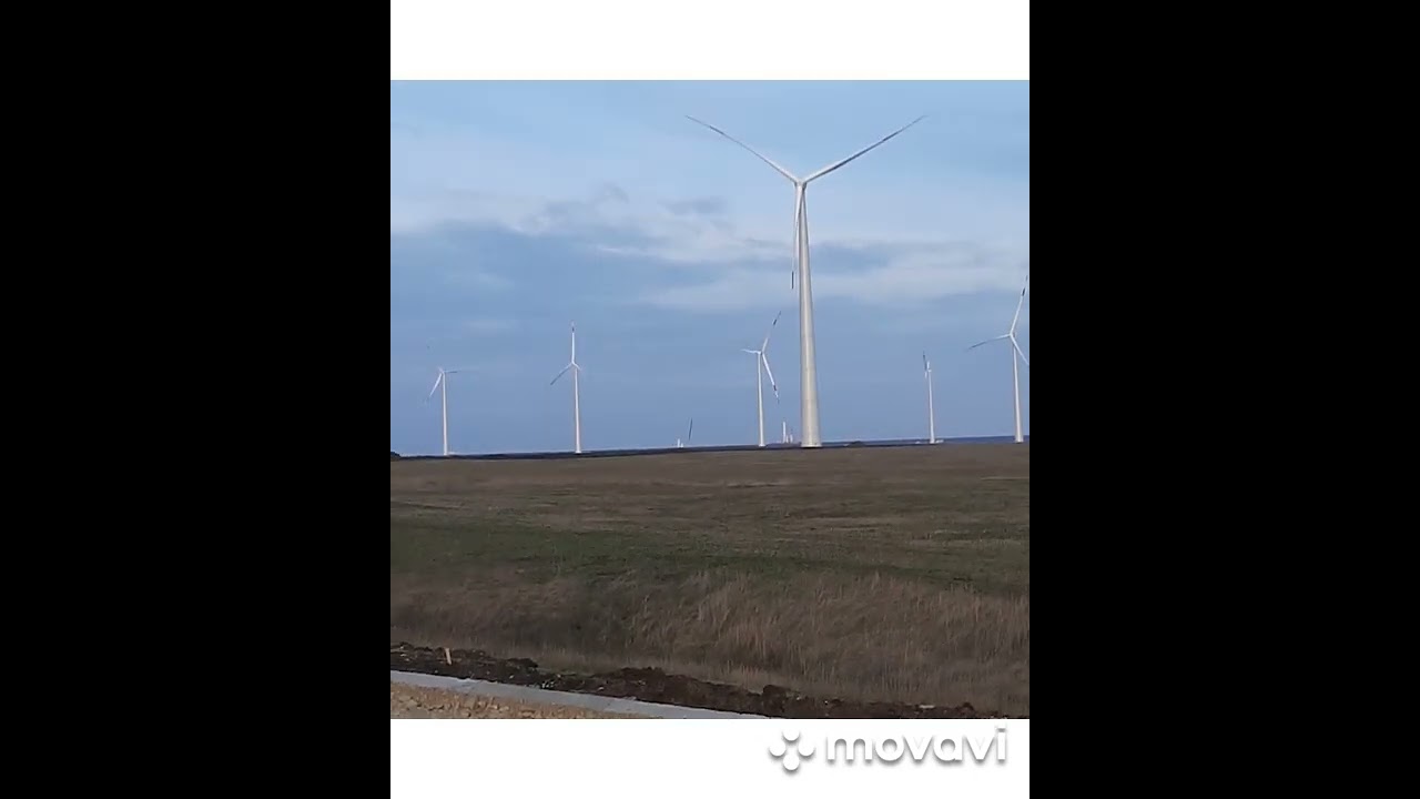 бизнес #13 Сергей грейдерист