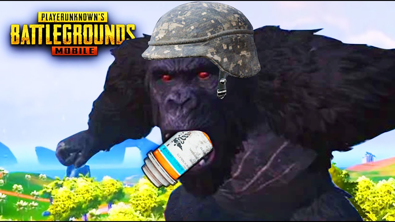 RIP KONG MONKE MODE | PUBG MOBILE