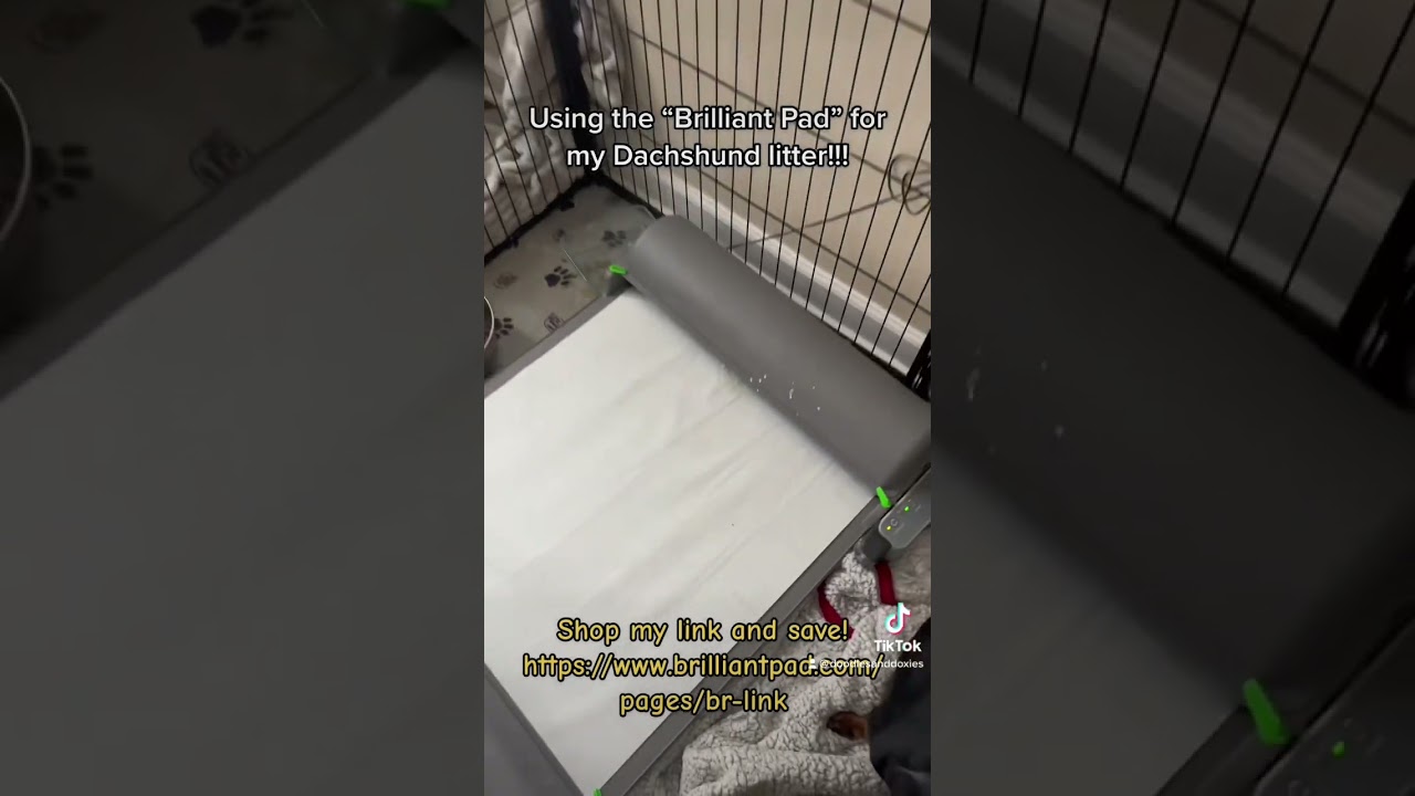 Genialna, automatyczna podkładka do pieluch dla ps&oacute;w! Zwiń, aby wyczyścić podkładkę.