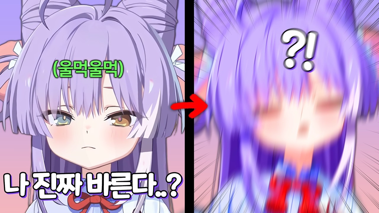 안 보면 손해인 알보칠 바르다가 엉엉 우는 부키 ㅋㅋㅋㅋㅋ