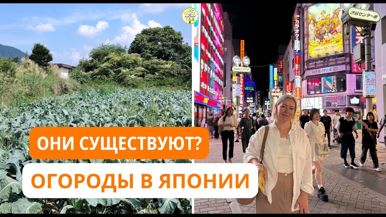 Подглядела, что и как на огородах японцев!