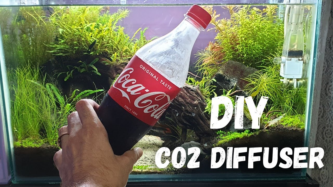 The World’s Cheapest DIY Co2 Diffuser | Planted Aquarium
